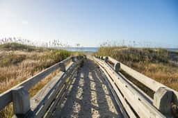 Just Beachy - Image 2