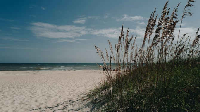Three Bedrooms in Atlantic Beach: Which One Fits